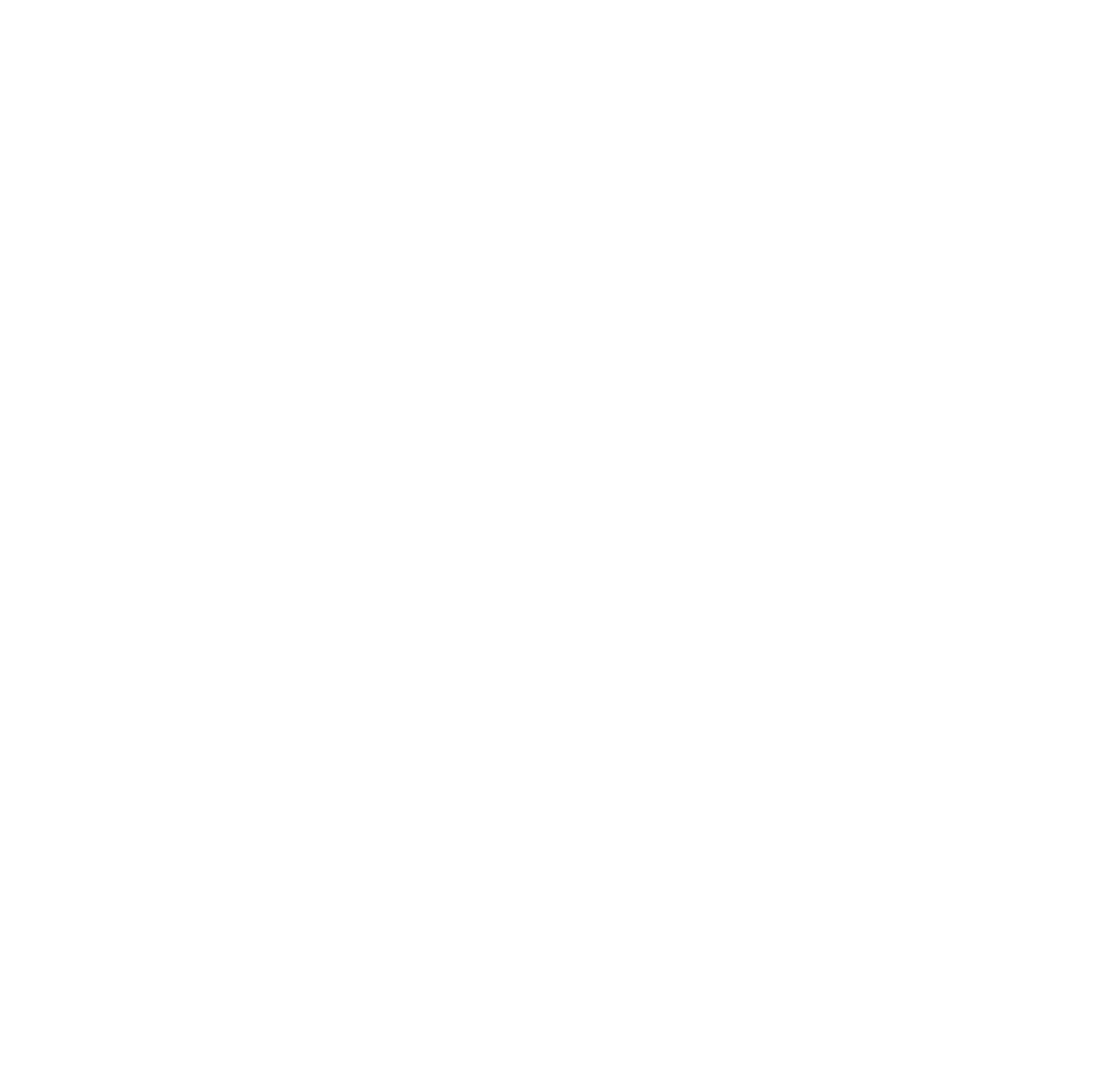 The new US History mark